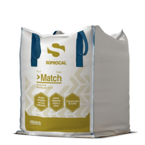 Match